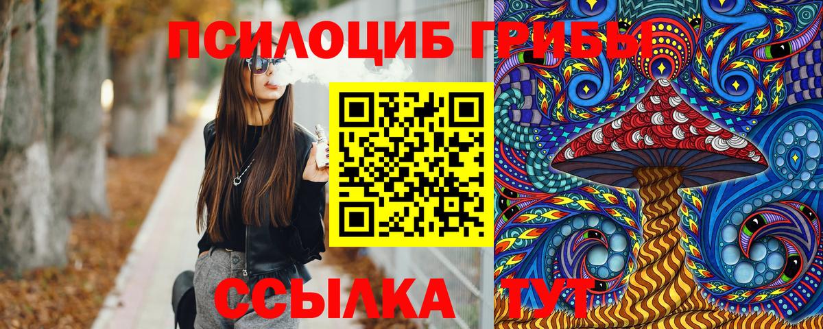 Кузнецк  Галлюциногенные грибы Psilocybe  Вход с VPN 
