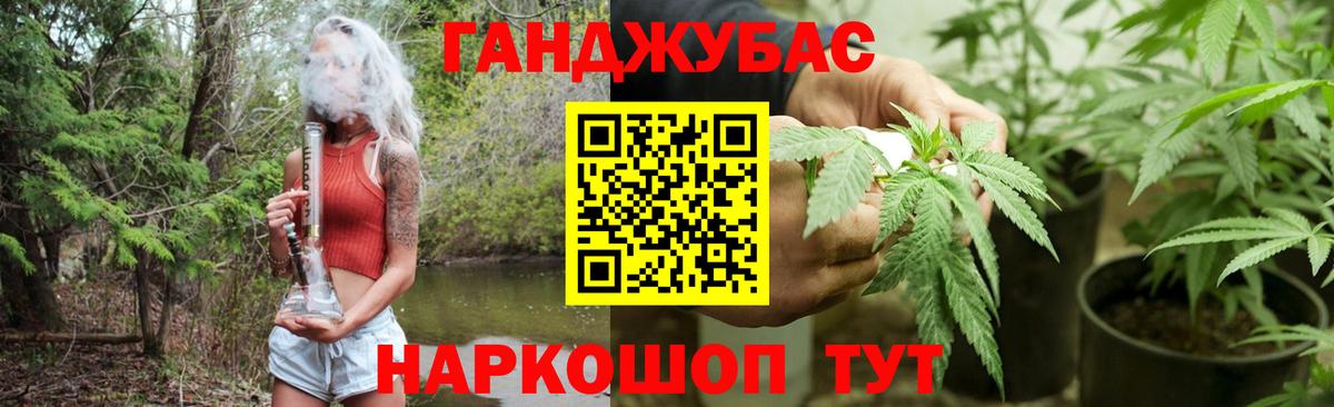 Шишки марихуана планчик Кузнецк